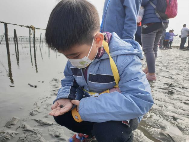潮間帶生態課程孩子仔細觀察螺貝