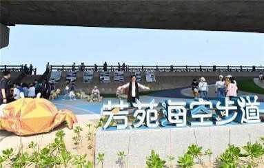 圖片7