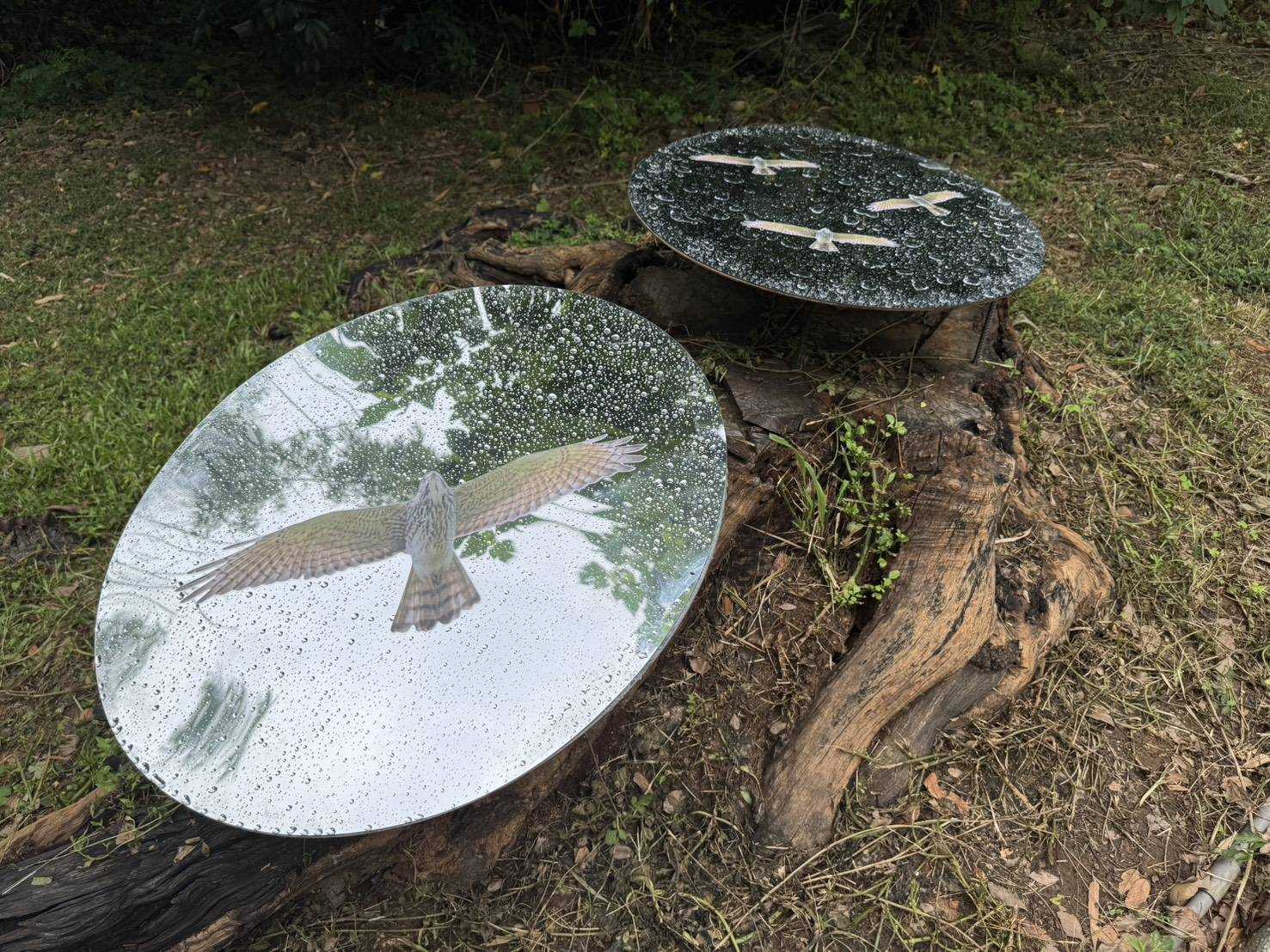 在這裡沒有消亡