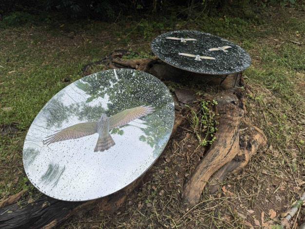 作品-在這裡沒有消亡